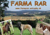 Foto: Andrea Chybová, farma RAR-Paní Chybová, cítím se podvedený, vybudovali jsme u vás stáje za naše peníz