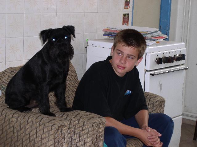 Fotky: Knírač malý (foto, obrazky)