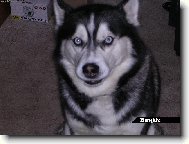 Beník