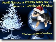vánoční přání