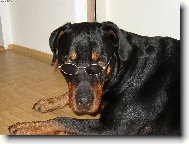 Beneček