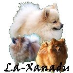 Chovatelska stanice psů: LA-XANADU