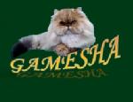 Chovatelska stanice psů: GAMESHA